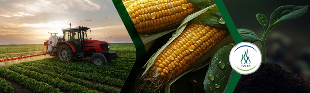 TLU SA (Transvaalse Landbou Unie) main banner image