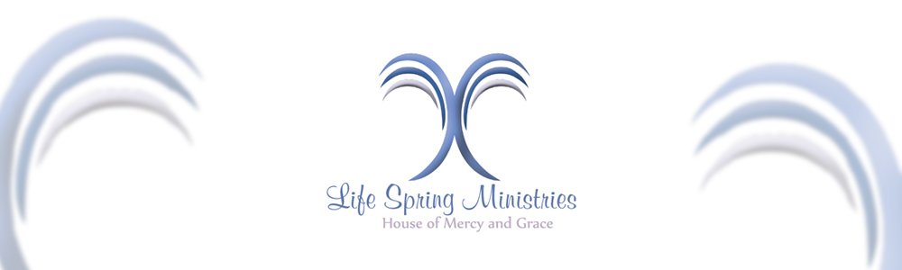 Life Spring Ministries main banner image