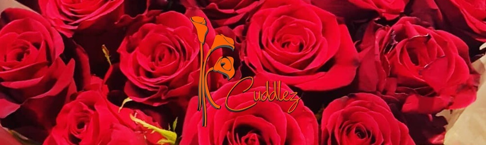 Cuddlez n Flowers (Lonehill Centre) main banner image