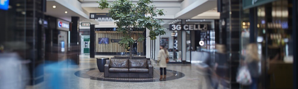 3G Cellular Simon's Town (Harbour Bay) main banner image
