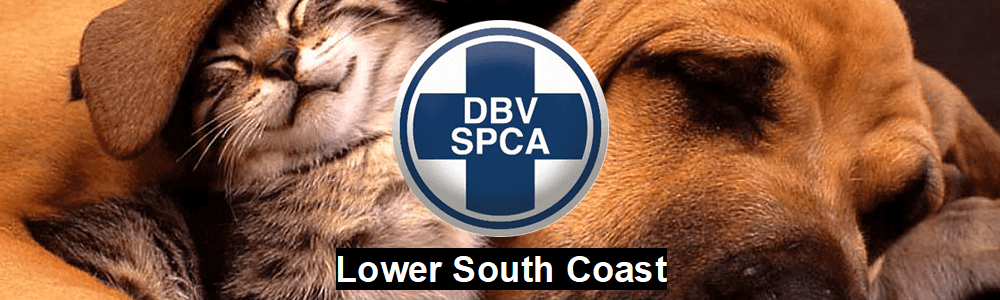 SPCA Lower South Coast main banner image