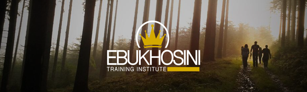 Ebukhosini Training Institute (NPC) main banner image