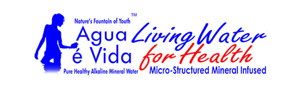 Agua é Vida (Willow Way) banner