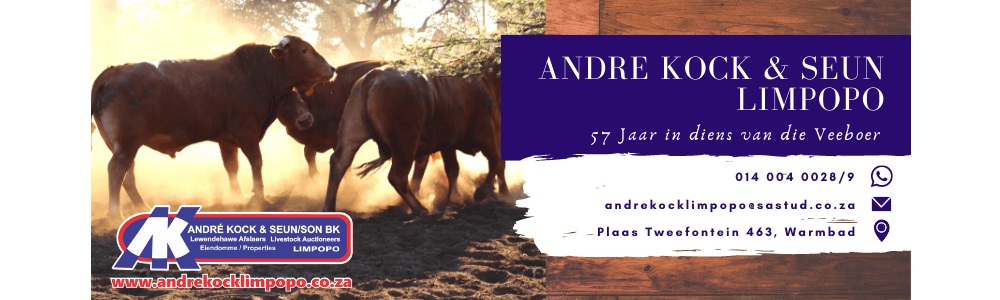 Andre Kock & Son Auction House Limpopo banner