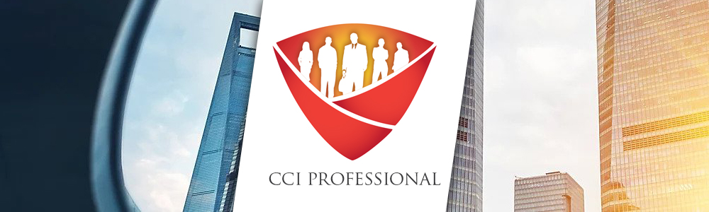 CCI Professional (Pty) Ltd banner