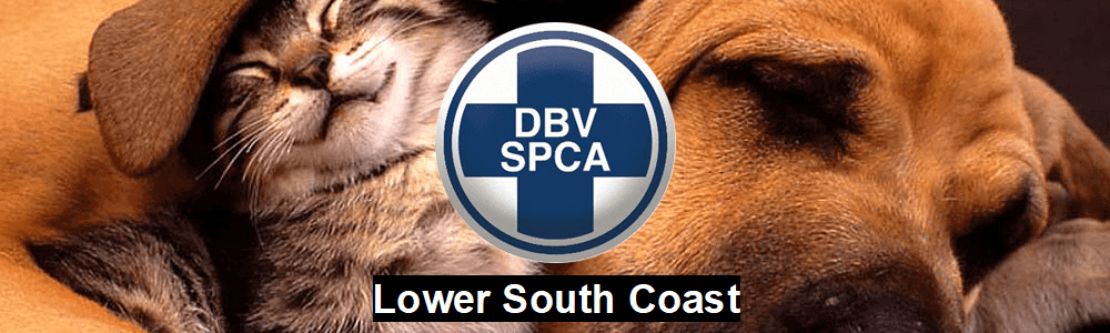SPCA Lower South Coast banner